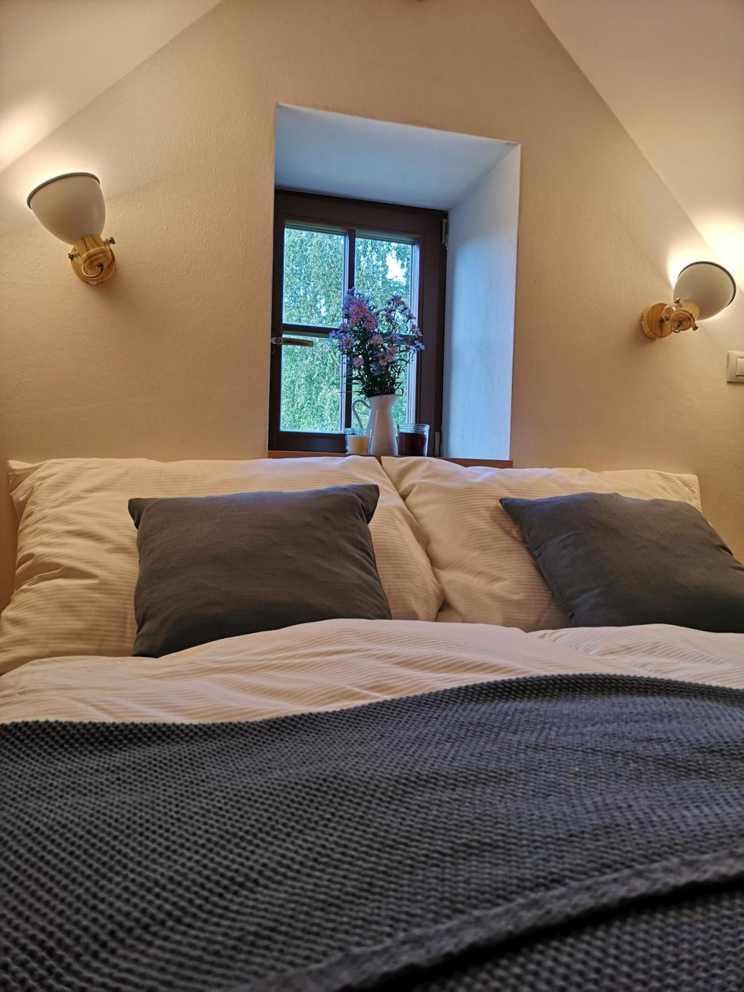 Na Jeleni Stezce Villa Chřibská Kültér fotó